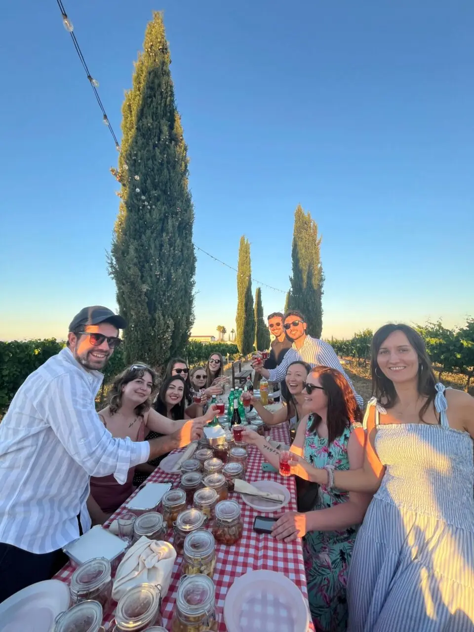 Group toasting drinks at an outdoor picnic table in a vineyard at sunset