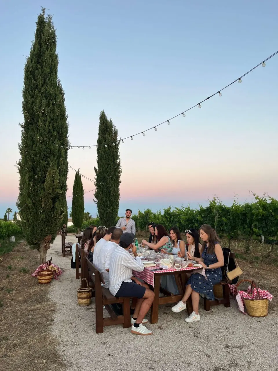 Group sharing a picnic dinner at a long table among cypress trees